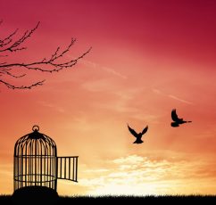 Στην αληθινή αγάπη, αποκτάς ελευθερία | 7 βαθιά αποφθέγματα σοφίας του Thich Nhat Hanh