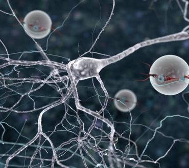 Ανακάλυψη: Ερευνητές δημιουργούν νέα εγκεφαλικά κύτταρα σε ενήλικες