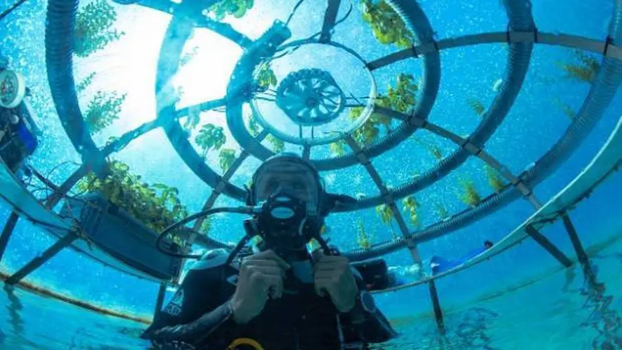Nemo’s Garden: Είναι το μέλλον της γεωργίας υποθαλάσσιο;
