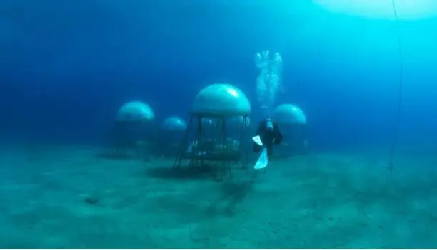 Nemo’s Garden: Είναι το μέλλον της γεωργίας υποθαλάσσιο;