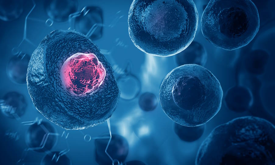 Μελέτη: Yπολείμματα αρχαίων ιών στο ανθρώπινο DNA μπορούν να βοηθήσουν στην καταπολέμηση του καρκίνου