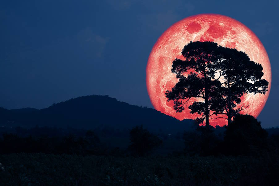 Το «φεγγάρι της φράουλας» | Εντυπωσιακές εικόνες από την πανσέληνο του Ιουνίου