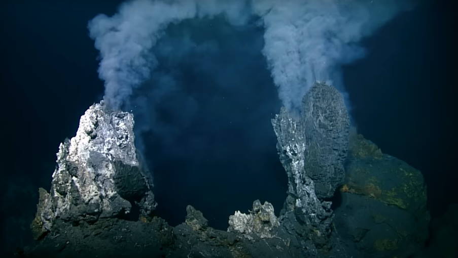 Μαιευτήριο της αβύσσου: Πώς βρέθηκαν τόσες χιλιάδες αβγά στην κορυφή αυτού του υποβρύχιου ηφαιστείου;