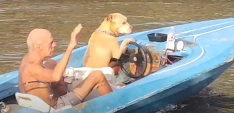 Φλόριντα: Σκύλος οδηγεί σκάφος και κάνει βόλτα τον ιδιοκτήτη του! (βίντεο)