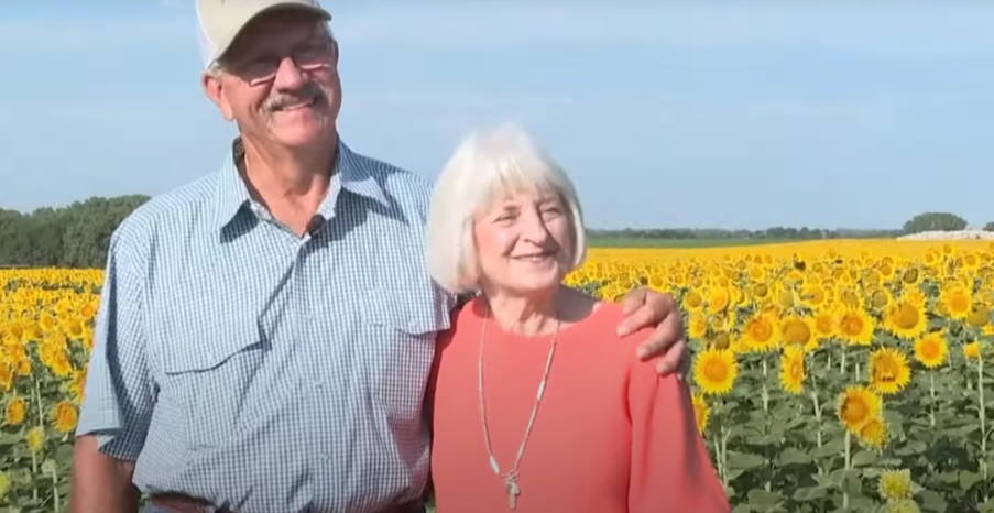 ΗΠΑ: Αγρότης φύτεψε ένα απέραντο χωράφι με ηλιοτρόπια ως δώρο για την επέτειο του γάμου τους! (βίντεο)