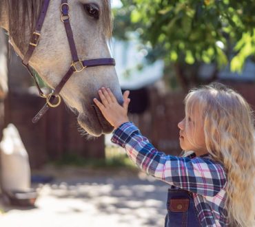 Τα άλογα μπορούν να διακρίνουν τα συναισθήματα στο πρόσωπο και τη φωνή του ανθρώπου