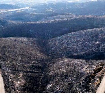 Έβρος: Αποκαρδιωτικές εικόνες από το δάσος της Δαδιάς | Το πριν και το μετά (φωτογραφίες)