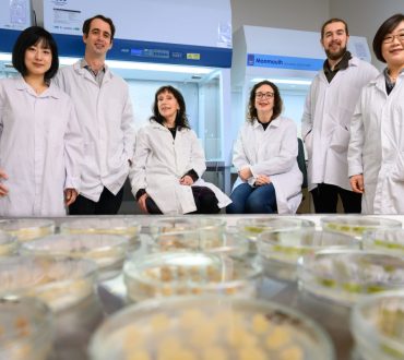 «Γεύση» από το μέλλον: Ιστούς φρούτων στο εργαστήριο «καλλιεργούν» επιστήμονες στη Νέα Ζηλανδία