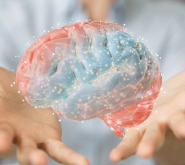 Το απόλυτο τεστ – Δείτε την πραγματική ηλικία του εγκεφάλου σας