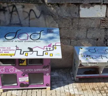 Διώροφα σπίτια-έκπληξη για τις γάτες τοποθετήθηκαν στους δρόμους του Αγίου Δημητρίου