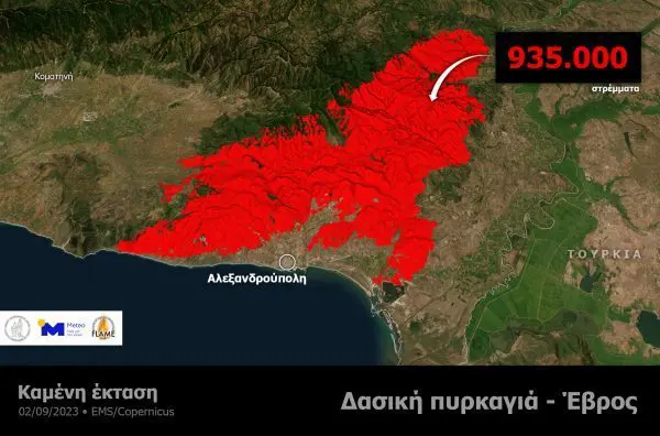Φωτιές στον Έβρο: Μαυρόγυπες επιστρέφουν στην καμένη Δαδιά και ψάχνουν τις φωλιές τους (βίντεο)