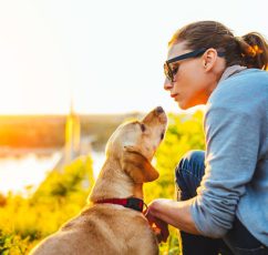 Μιλάτε στο κατοικίδιό σας; Επιστήμονες λένε ότι είναι σημάδι ευφυίας