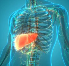 Λιπώδες ήπαρ: Το πρόγραμμα διατροφής που βοηθά στην απώλεια βάρους και μειώνει το λίπος