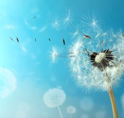 Ο Δεκέμβριος δεν είναι ένας μήνας για φωτάκια και λαμπιόνια... Είναι ο μήνας της Αναγέννησης!