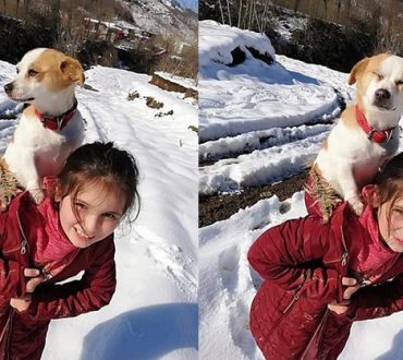 8χρονο κορίτσι περπάτησε 2,5 χιλιόμετρα με τον σκύλο της στην πλάτη μέσα στο χιόνι για να τον πάει στο γιατρό!