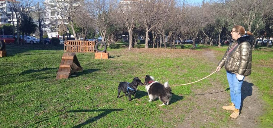 Το πρώτο πάρκο σκύλων με ανακυκλώσιμα υλικά στον Δήμο Καλαμαριάς