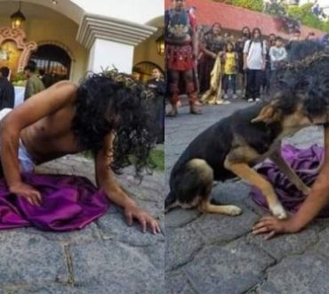 Γουατεμάλα: Ηθοποιός αναπαριστούσε τα πάθη του Χριστού και ένα αδέσποτο σκυλάκι πήγε να δει αν είναι καλά!