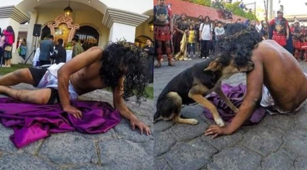 Γουατεμάλα: Ηθοποιός αναπαριστούσε τα πάθη του Χριστού και ένα αδέσποτο σκυλάκι πήγε να δει αν είναι καλά!