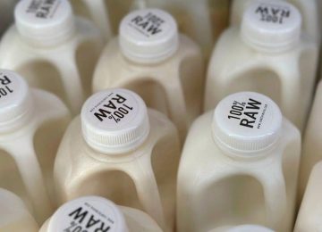 Πίνουν απαστερίωτο γάλα μολυσμένο με H5N1 για να αποκτήσουν ανοσία στον ιό