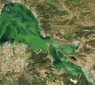 ΗΠΑ: Τοξικά φύκια έκαναν λίμνη τόσο πράσινη που ξεχωρίζει από το διάστημα
