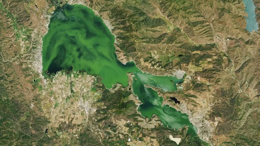 ΗΠΑ: Τοξικά φύκια έκαναν λίμνη τόσο πράσινη που ξεχωρίζει από το διάστημα