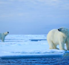 «Καταψύχοντας» ξανά τη γη | Το σχέδιο των ειδικών για τη διάσωση της Αρκτικής