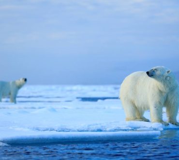 «Καταψύχοντας» ξανά τη γη | Το σχέδιο των ειδικών για τη διάσωση της Αρκτικής