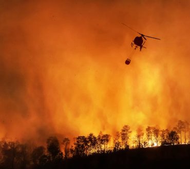 Περιβάλλον: Η συχνότητα και το μέγεθος των ακραίων δασικών πυρκαγιών έχουν διπλασιαστεί τα τελευταία 20 χρόνια