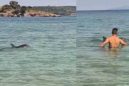 Νέα Πέραμος Καβάλας: Νεαρό δελφίνι κάνει βόλτες στα ρηχά! (βίντεο)