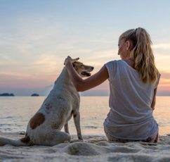 Όσα χρειάζεται να γνωρίζετε πριν πάρετε τον σκύλο σας στην παραλία