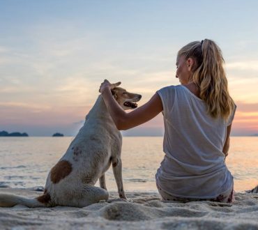 Όσα χρειάζεται να γνωρίζετε πριν πάρετε τον σκύλο σας στην παραλία