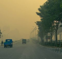 Ινδία: «Πνίγεται» το Νέο Δελχί από την τοξική αιθαλομίχλη - «Άφαντο» το Ταζ Μαχάλ! (βίντεο)