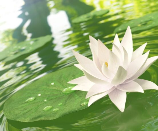 Η αξία της απλότητας: Πώς να ελαφρύνεις τη ζωή σου από το περιττό