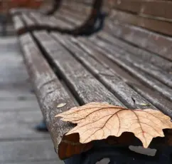 Μπορείς να αντέξεις μόνος, αλλά για να υπάρξεις, χρειάζεσαι κάποιον να σε δει