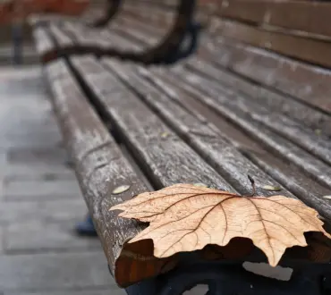 Μπορείς να αντέξεις μόνος, αλλά για να υπάρξεις, χρειάζεσαι κάποιον να σε δει