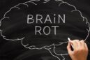Brain rot: Πώς η υπερβολική χρήση οθονών αλλάζει τον εγκέφαλό μας