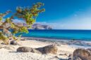 Παραλία Κεδρόδασος: Ένας από τους τελευταίους ανέγγιχτους παράδεισους (βίντεο)