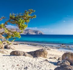 Παραλία Κεδρόδασος: Ένας από τους τελευταίους ανέγγιχτους παράδεισους (βίντεο)