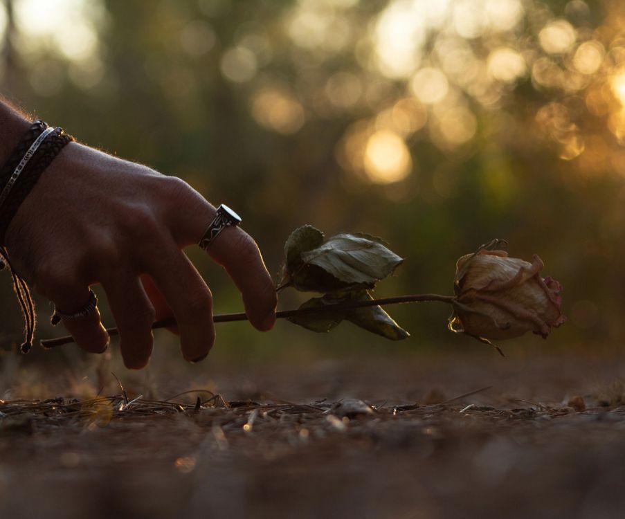 Η απώλεια δεν αφαιρεί την αγάπη, την μεταμορφώνει. Εκεί που ήταν πρόσωπο, γίνεται προσευχή