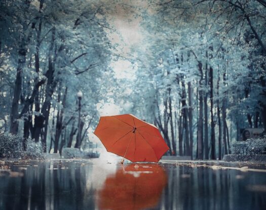 Ανήκεις εκεί που δεν φοβάσαι να είσαι αληθινός. Εκεί που δεν χρειάζεται να κρύψεις τα σκοτάδια σου