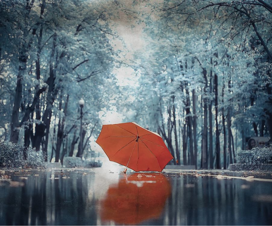 Ανήκεις εκεί που δεν φοβάσαι να είσαι αληθινός. Εκεί που δεν χρειάζεται να κρύψεις τα σκοτάδια σου