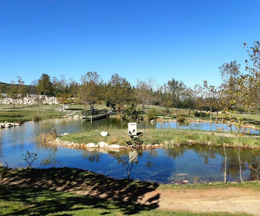 Η πανέμορφη λίμνη Μουσών: Μια απόδραση στη φύση 
