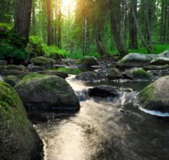 Αυτό που με καθοδηγεί είναι η επίγνωση του πότε να κρατώ γερά το τιμόνι και πότε να αφήνω τη ζωή να με παρασύρει