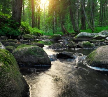 Αυτό που με καθοδηγεί είναι η επίγνωση του πότε να κρατώ γερά το τιμόνι και πότε να αφήνω τη ζωή να με παρασύρει
