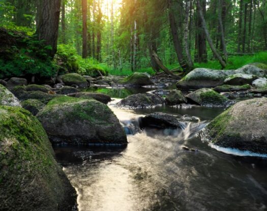 Αυτό που με καθοδηγεί είναι η επίγνωση του πότε να κρατώ γερά το τιμόνι και πότε να αφήνω τη ζωή να με παρασύρει