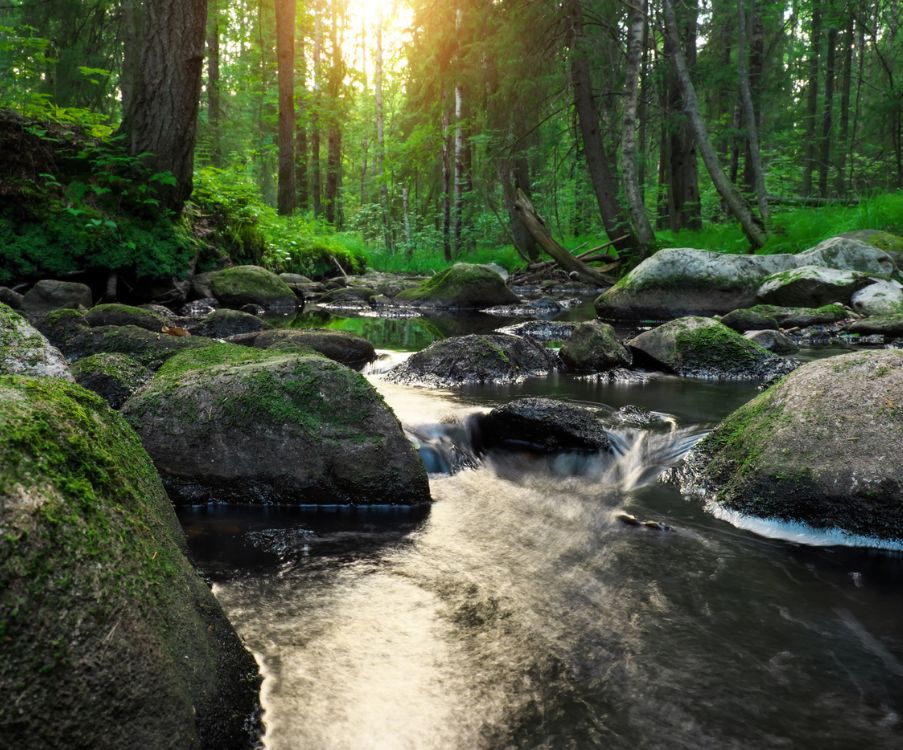 Αυτό που με καθοδηγεί είναι η επίγνωση του πότε να κρατώ γερά το τιμόνι και πότε να αφήνω τη ζωή να με παρασύρει