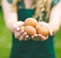 Αυγά: Ένα... παρεξηγημένο superfood. Τι ισχύει τελικά με τη χοληστερίνη;