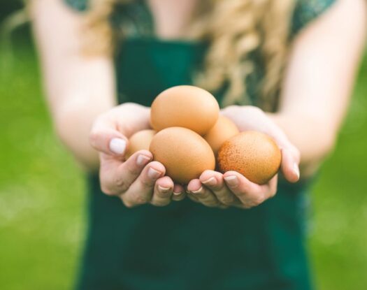 Αυγά: Ένα... παρεξηγημένο superfood. Τι ισχύει τελικά με τη χοληστερίνη;