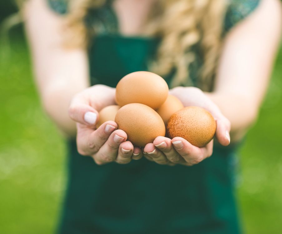 Αυγά: Ένα... παρεξηγημένο superfood. Τι ισχύει τελικά με τη χοληστερίνη;