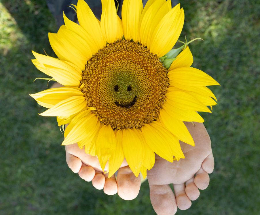 Στο τέλος της ημέρας, δεν χρειάζεται να ρωτάμε «είμαι ευτυχισμένος;» αλλά «είμαι παρών;»